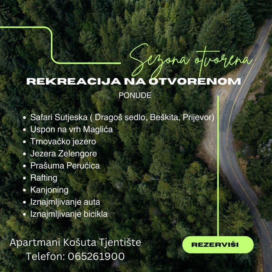 Apartmani Kosuta Tjentiste Extérieur photo